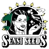 Sensi Seed